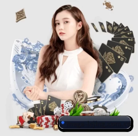 mega-lejing.com.cn的方向